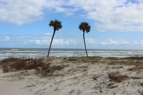 Florida Bail Bondsman, Florida Bail Bonds, arrested in Florida